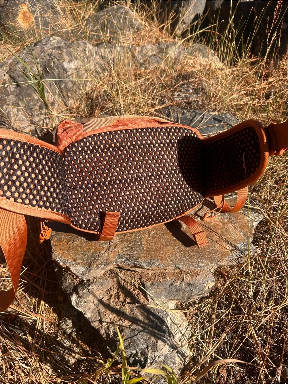 Dakine Rust Orange Waist Pack